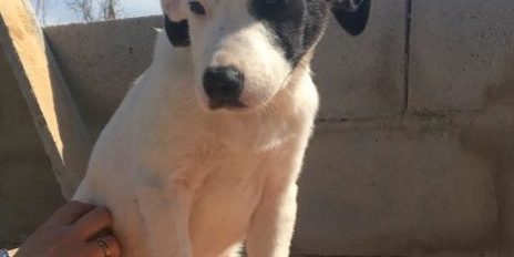 PHOTO-2018-05-19-19-16-57