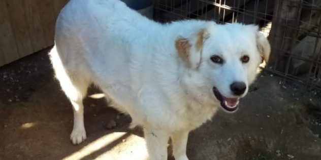 IMG-20210509-WA0009(1)