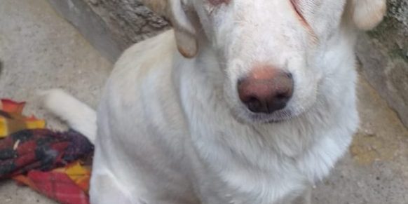 PHOTO-2021-06-07-11-27-46